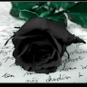 Meet your Posher, Meghana